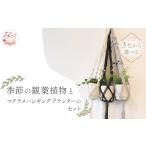 季節の観葉植物と3色から マクラメハンギングプランターの…