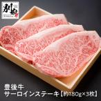 豊後牛サーロインステーキ _B081-041