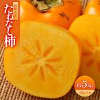 ふるさと納税 和歌山産 たねなし柿 5kg 和歌山県和歌山市