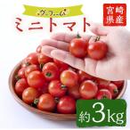 ミニトマト 約3kg