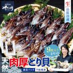 天然 とり貝 お刺身 特大9枚×2セット 岬だより
