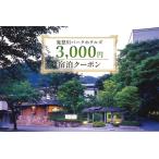 鬼怒川パークホテルズ 宿泊クーポン 3000円分
