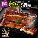1644 九州産うなぎ 備長炭手焼 卵うなぎ