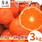マーコット ハウス栽培 唐津産 3kg
