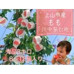 ふるさと納税 桃(川中島)3kg 0120-2501 山形県上山市