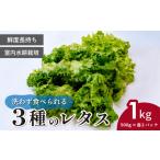 fu.... налог 3 вид. lettuce каждый 500g×2 упаковка 1kg | lettuce восток Matsuyama город Saitama префектура восток Matsuyama город 