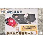 化石と自然の体験館 手ぶらで発掘セット