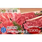 ステーキ 焼肉スペシャルセット 焼肉 牛