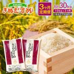 きぬむすめ 10kg