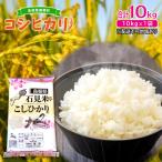 〉新米 令和6年産 産コシヒカリ 白米 10kg【お米 10kg