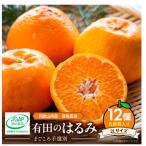 有田のはるみ 化粧箱入り 2Lサイズ 12個入り_ZE6090n