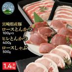 豚ロースとんかつ100g×5ロースしゃぶ500gヒレとんかつ400g…