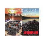定期便 3回 しじみ 食べ比べ 宍道湖産500g 250g×2パック