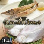 一夜干し 干カレイと干キスセット 山陰沖で水揚げ
