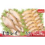 ふるさと納税 【干物 干カレイセット 合計1.2kg以上(大5〜8枚 約600g、小11〜15枚 約600g)香住産 冷凍】身の厚い大きめのカレイ、少し小ぶりの.. 兵庫県香美町