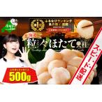 ふるさと納税 御礼!ランキング第1位獲得!訳ありホタテ500g (ホタテほたてホタテほたてホタテほたてホタテほたてホタテほたて 北海道別海町