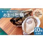 ふるさと納税 あまべ牡蠣 10個 牡蠣 シングルシード 生食用 殻付き かき カキ オイスター 生ガキ 生牡蠣 生がき 生かき ギフト 貝 旨味 徳島県海陽町