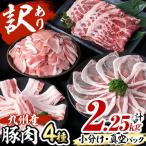小分け 真空パック 九州産豚肉4種セット