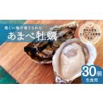 ふるさと納税 あまべ牡蠣 30個 牡蠣 シングルシード 生食用 殻付き かき カキ オイスター 生ガキ 生牡蠣 生がき 生かき ギフト 貝 旨味 徳島県海陽町