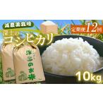 定期便12回 深土の特別米コシヒカリ 10kg×12