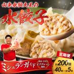 餃子 水餃子 定期便 5回発送 40個