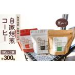 自家焙煎 東風コーヒー豆100g×3点セット