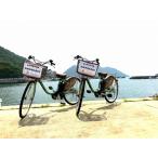 の海 山めぐるレンタルサイクル 1日乗り放題チケット