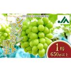 ふるさと納税 シャインマスカット晴王1房【2026年9月中旬〜10月下旬発送予定】（いばら愛菜館） 岡山県井原市
