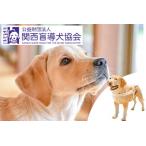 ふるさと納税 盲導犬 訓練 支援寄附 記念品［陶器のクイール（成犬）・タオル2枚セット・エコバッグ など盲導犬協会オリジナルグッズ］「行きた.. 京都府亀岡市