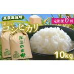 定期便6回 深土の特別米コシヒカリ 10kg×6