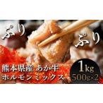 牛肉 ホルモン FKK19-217 あか牛ホルモン