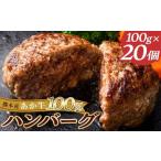 FKK19-268_あか牛100%ハンバーグ 100g×20個