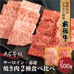 2種食べ比べ 焼肉 飛騨牛 A5等級 500g