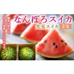 ふるさと納税 【8月発送】北海道産 なんぽろスイカ 2玉 大玉 令和7年度産 8月発送開始 南幌町 NP1-076 すいか スイカ すいか スイカ すいか スイ.. 北海道南幌町