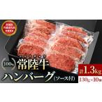 ハンバーグ10個 ソース付