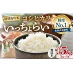 ふるさと納税 【先行予約】【令和7年産・新米】【一等米】特別栽培米 いっちょらい 無洗米 5kg / 福井県産 ブランド米 コシヒカリ ご飯 白米 .. 福井県あわら市
