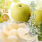 Y015 二十世紀梨 特選 3kg