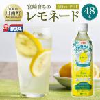 サンA 宮崎育ちのレモネード 500ml