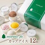 5種類 定番+ カップアイス12個セット