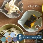 アールシーボリ チョウチョウウオ科 5色セット