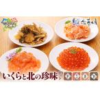 ふるさと納税 佐藤水産 いくらと北の珍味セット（M-3） 北海道石狩市