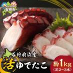 fu.... налог камень . передний . производство ..... примерно 1kg( пара 2~3шт.@)l морепродукты .. осьминог камень . передний . производство Hokkaido камень . город Hokkaido камень . город 