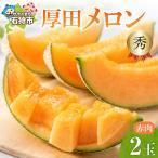 厚田メロン 赤肉 2玉