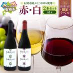 産ぶどうを醸造したワイン ISHIKARI