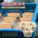 スピード発送 月山山吹みそ 特選印カップ