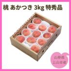 ふるさと納税 桃(あかつき)3kg 特秀品 0055-2508 山形県上山市