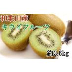 fu.... налог Wakayama парик . блок производство киви фрукты примерно 3.6kg( шар число случайный ) превосходящий товар [2026 год 1 месяц средний .~3 месяц сверху . примерно последовательный отправка ][TM021-tec] Wakayama префектура парик . блок 