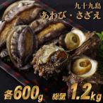 セット 生食可 1.2kg