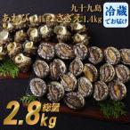 セット 生食可 2.8kg