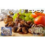 ジャンボ 黒 ニンニク 750g